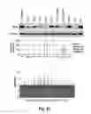 Fig. 35 - High throughput methods for functionally determining RNA interference efficiency