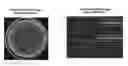 Fig. 01 - Non bio-adhesive polymer coating composition, articles and devices thereof