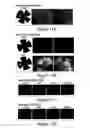 Fig. 20 - Humanized model of membrane attack complex (MAC) formation on murine retina and compositions, kits and methods for treatment of macular degeneration