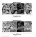Fig. 28 - Humanized model of membrane attack complex (MAC) formation on murine retina and compositions, kits and methods for treatment of macular degeneration