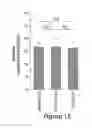 Fig. 29 - Humanized model of membrane attack complex (MAC) formation on murine retina and compositions, kits and methods for treatment of macular degeneration