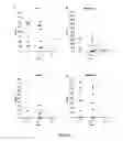 Fig. 07 - SUPPORTING ACETYLCHOLINE FUNCTION