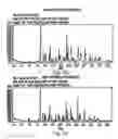 Fig. 33 - POLYMORPHIC FORMS OF 3-(4-AMINO-1-OXO-1,3 DIHYDRO-ISOINDOL-2-YL)-PIPERIDINE-2,6-DIONE