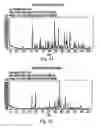 Fig. 34 - POLYMORPHIC FORMS OF 3-(4-AMINO-1-OXO-1,3 DIHYDRO-ISOINDOL-2-YL)-PIPERIDINE-2,6-DIONE