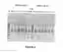 Fig. 06 - Antisense oligonucleotides for inducing exon skipping and methods of use thereof