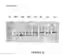 Fig. 07 - Antisense oligonucleotides for inducing exon skipping and methods of use thereof