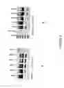 Fig. 09 - Antisense oligonucleotides for inducing exon skipping and methods of use thereof