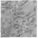 Fig. 01 - Polyolefin Composition Comprising Silicon-Containing Filler