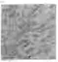 Fig. 02 - Polyolefin Composition Comprising Silicon-Containing Filler
