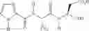 Fig. 136 - Inhibitors of interleukin-1 beta converting enzyme