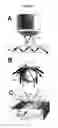 Fig. 04 - Systems, Compositions And Methods For Nucleic Acid Detection