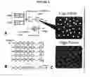 Fig. 07 - Systems, Compositions And Methods For Nucleic Acid Detection