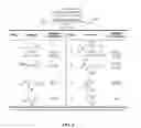 Fig. 03 - Selective Aliphatic C-H Oxidation