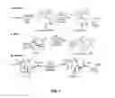 Fig. 06 - Selective Aliphatic C-H Oxidation