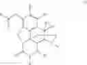 Fig. 02 - 3-oxy-hydromorphone derivatives