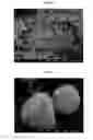 Fig. 02 - PROCESS FOR PREPARING CRYSTALLINE CALCIUM MUPIROCIN DIHYDRATE