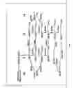 Fig. 02 - Synthesis of long-chain polyunsaturated fatty acids by recombinant cells