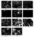 Fig. 01 - Diamantane compounds, liquid crystalline compounds, and liquid crystalline compositions