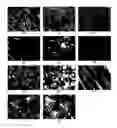 Fig. 02 - Diamantane compounds, liquid crystalline compounds, and liquid crystalline compositions