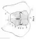 Fig. 07 - Surgical articles and methods for treating pelvic conditions