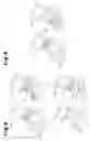 Fig. 04 - MASSAGE APPARATUS