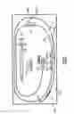 Fig. 03 - Percutaneous Puncture Sealing System