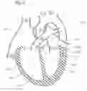 Fig. 07 - DEVICE AND METHOD FOR RESHAPING MITRAL VALVE ANNULUS
