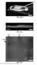 Fig. 06 - Systems and methods for forming patterned extracellular matrix materials