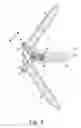 Fig. 09 - Combined spinal interbody and plate assemblies