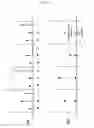 Fig. 12 - Method and an apparatus for processing an audio signal