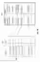 Fig. 09 - Oligomer sequences mapping