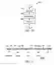 Fig. 09 - Clickstream analysis methods and systems related to modifying an offline promotion for a consumer good