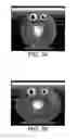 Fig. 32 - INTERACTIVE CHARACTER SYSTEM