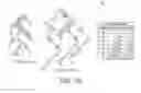 Fig. 80 - Optimal sequential (de)compression of digital data
