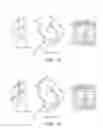 Fig. 30 - Grouping and differentiating volumes of files