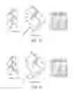 Fig. 32 - Grouping and differentiating volumes of files
