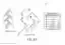 Fig. 33 - Grouping and differentiating volumes of files