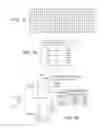 Fig. 07 - Optimized partitions for grouping and differentiating files of data