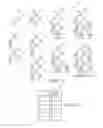 Fig. 28 - Grouping and differentiating files based on underlying grouped and differentiated files