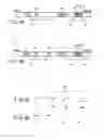 Fig. 04 - METHOD AND APPARATUS FOR CACHE CONTROL IN A DATA STORAGE DEVICE
