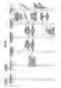 Fig. 28 - ELECTRONIC APPARATUS FOR IDENTIFYING AND UTILIZING EXTERNAL APPLICATIONS CONTAINED ON EXTERNAL APPARATUSES