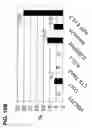 Fig. 45 - Use of regulatory sequences for specific, transient expression in neuronal determined cells