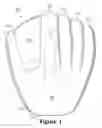 Fig. 02 - Ball glove incorporating a force attenuation system
