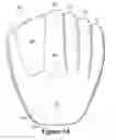 Fig. 16 - Ball glove incorporating a force attenuation system