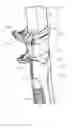Fig. 06 - Ice axe shaft equipped with a grip with a double intermediate gripping brace