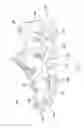 Fig. 02 - Article of footwear and methods of making same