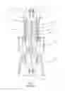 Fig. 02 - Oxyfuel gas turbine system and method