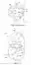 Fig. 03 - Device and method for measuring a flow characteristic of a fluid in a conduit