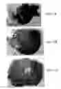 Fig. 08 - Slug for industrial ballistic tool