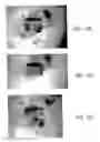 Fig. 09 - Slug for industrial ballistic tool